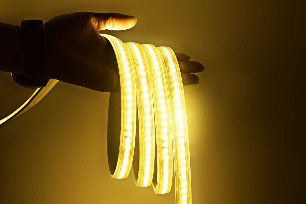 220V 2835-144D High Voltage LED Strip Light - Flexible Neon Light Strip (100M Roll, IP67, 220V)