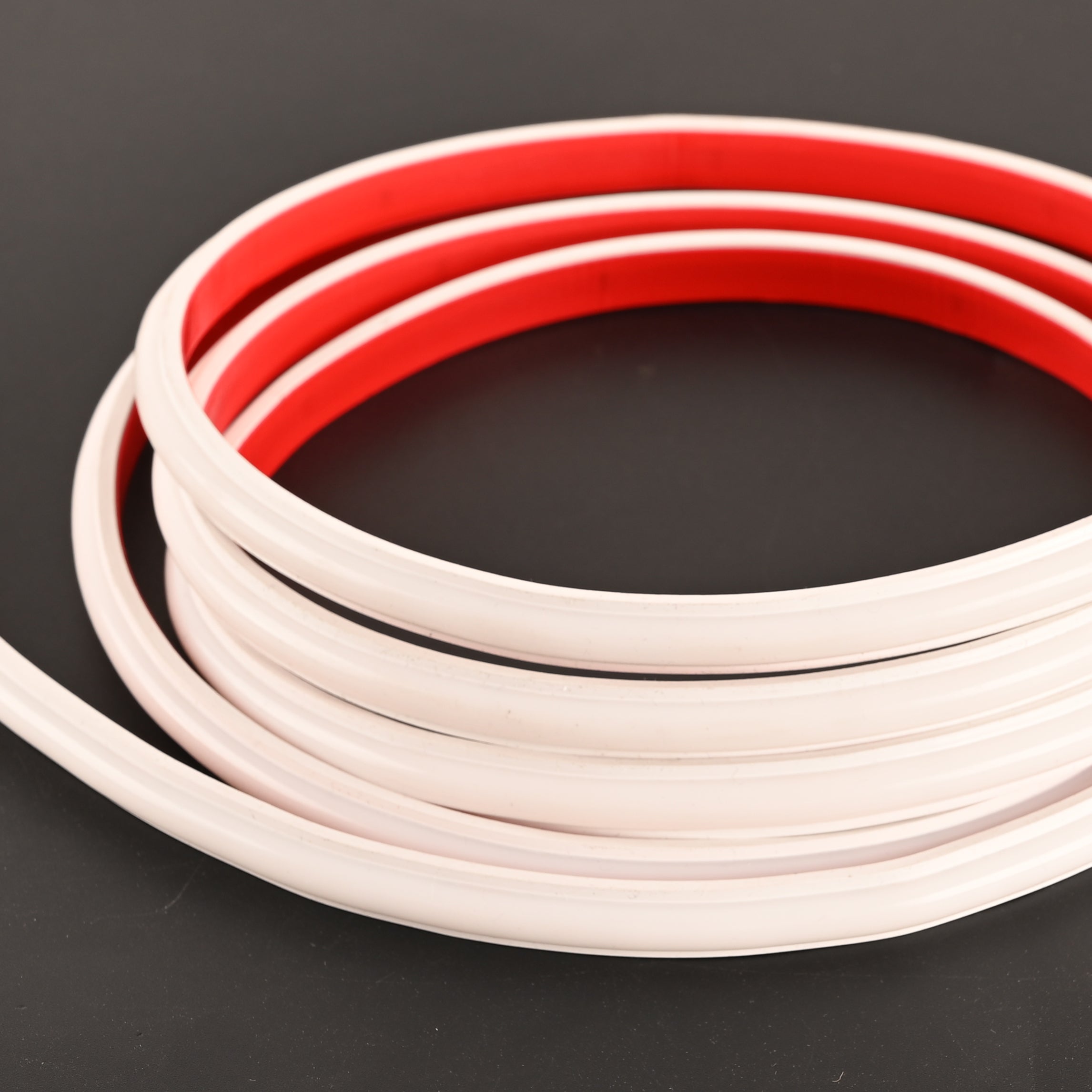24V-2025-280D-8MM Waterproof LED Strip Light IP67 Besty Home