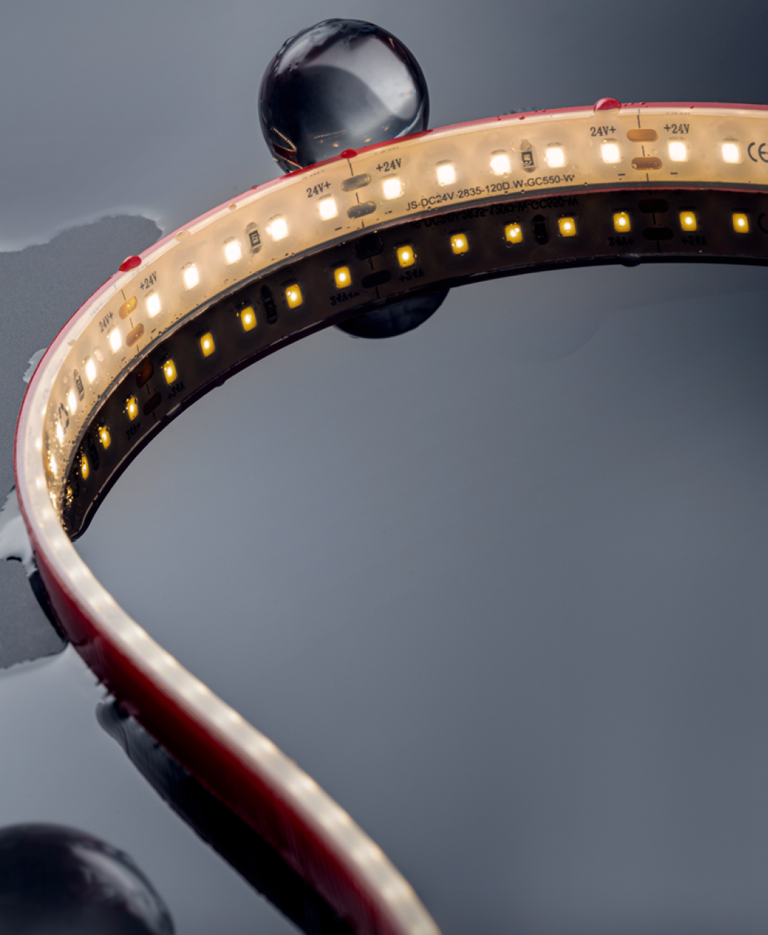 24V LED Strip Light IP68 - 2835 120D - 10mm (Waterproof Series) Besty Home