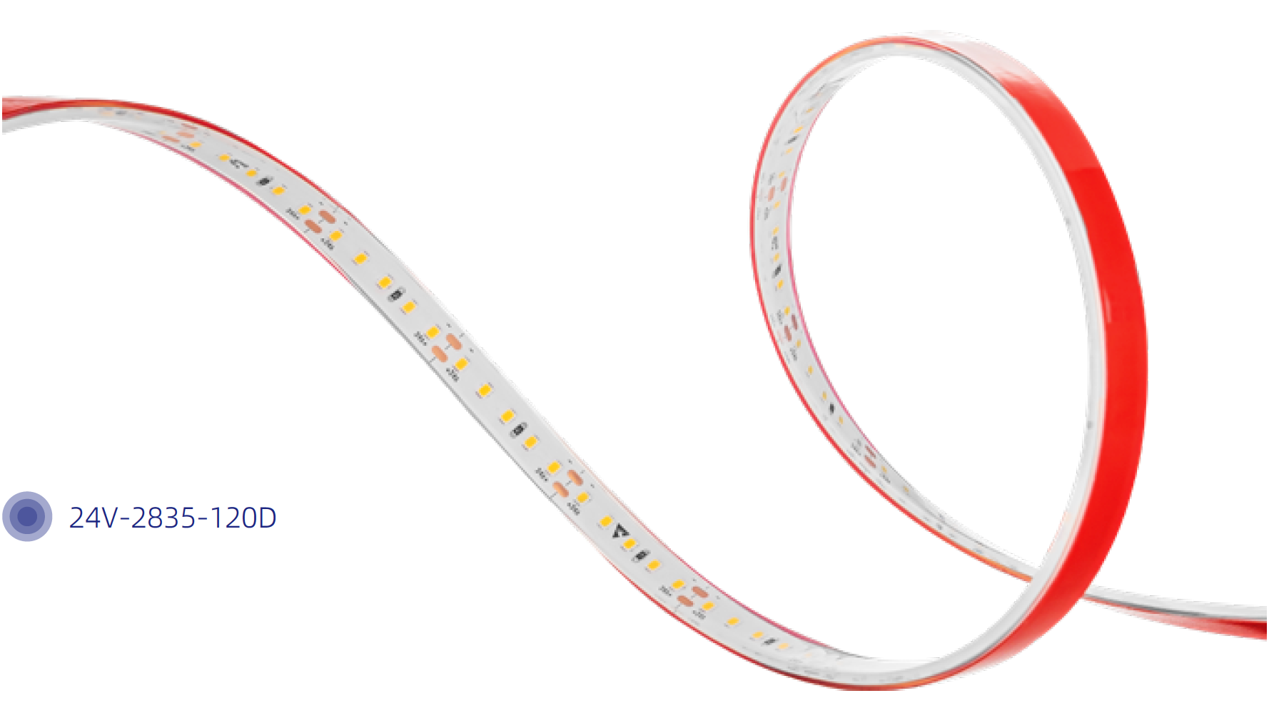 24V LED Strip Light IP68 - 2835 120D - 10mm (Waterproof Series) Besty Home