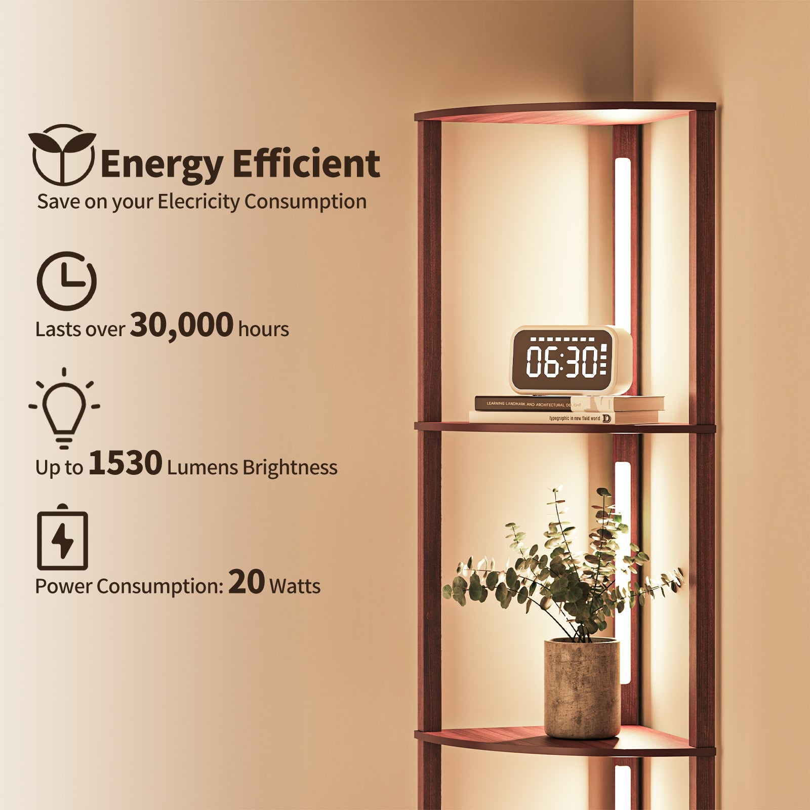 BESTY HOME Floor Lamp with Shelves as Corner Lamp for Living Room with Shelf Real Solid Wood with Lamp (Quadrant, Dark Brown) Besty Home