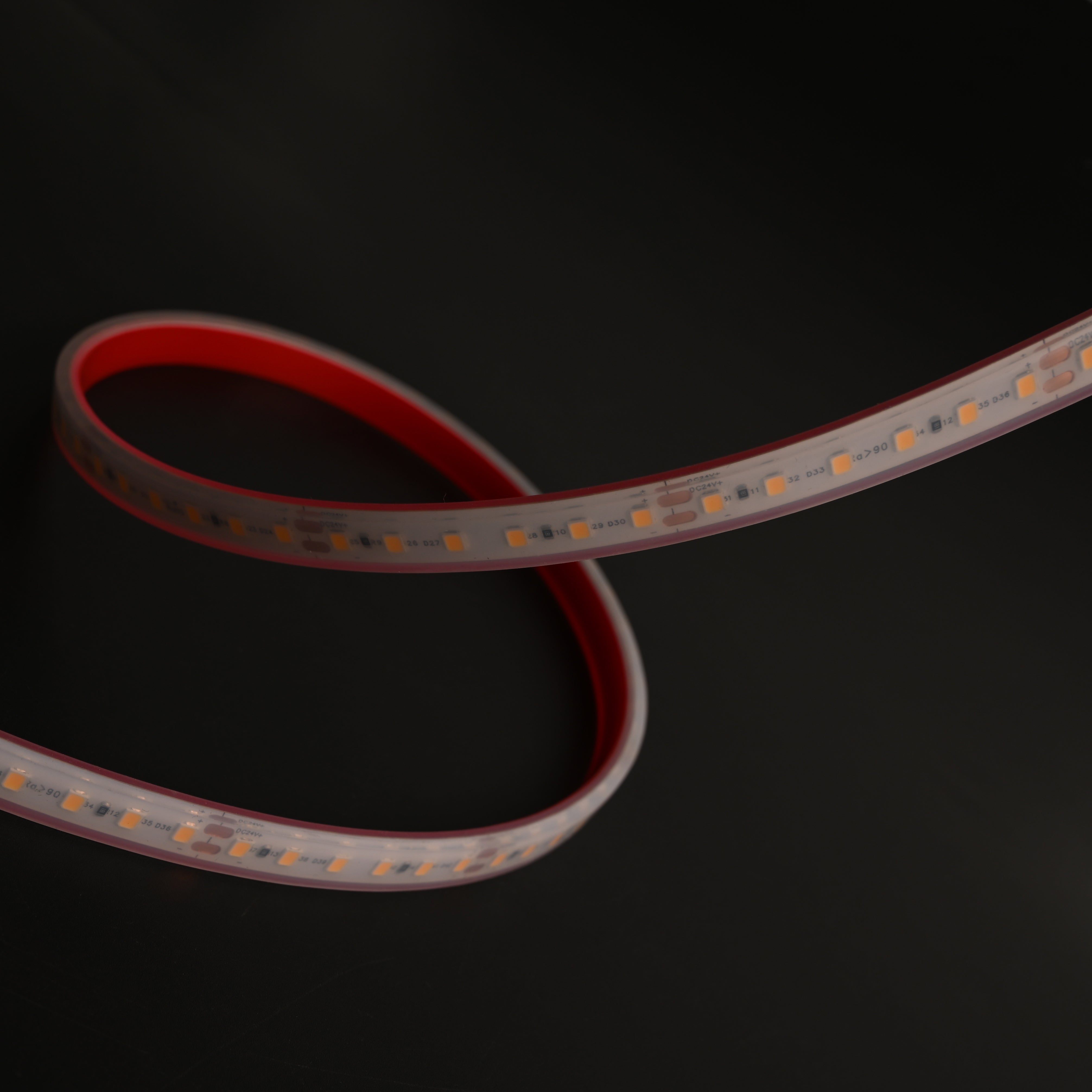 24V LED Strip Light IP68 - 2835 120D - 8mm (Waterproof Series) Besty Home