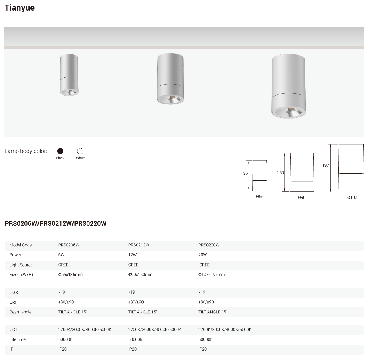 Tianyue Series – Versatile Commercial Spotlights and Downlights Besty Home