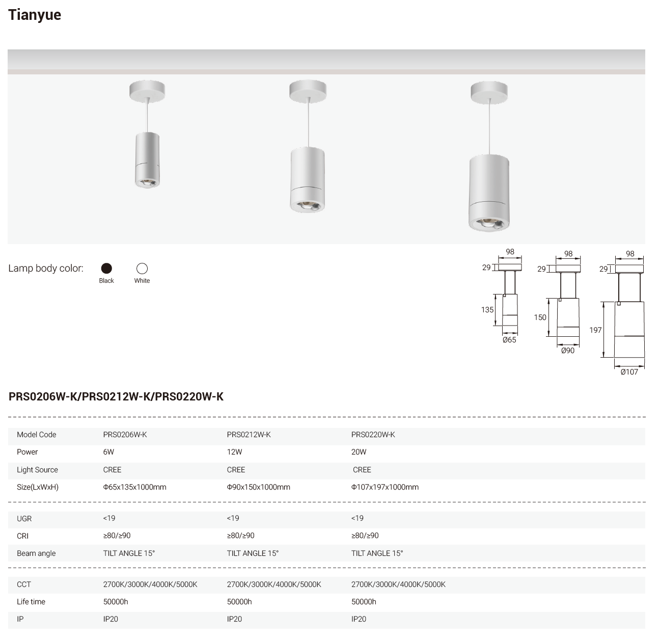 Tianyue Series – Versatile Commercial Spotlights and Downlights Besty Home