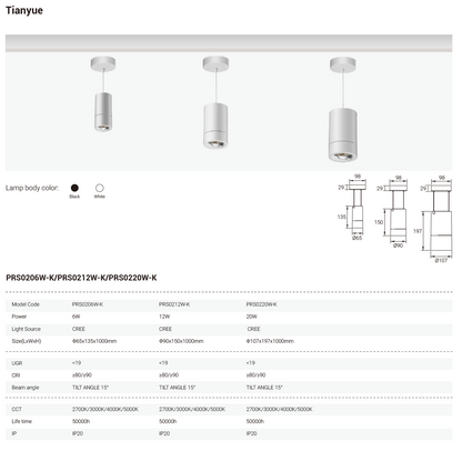 Tianyue Series – Versatile Commercial Spotlights and Downlights Besty Home