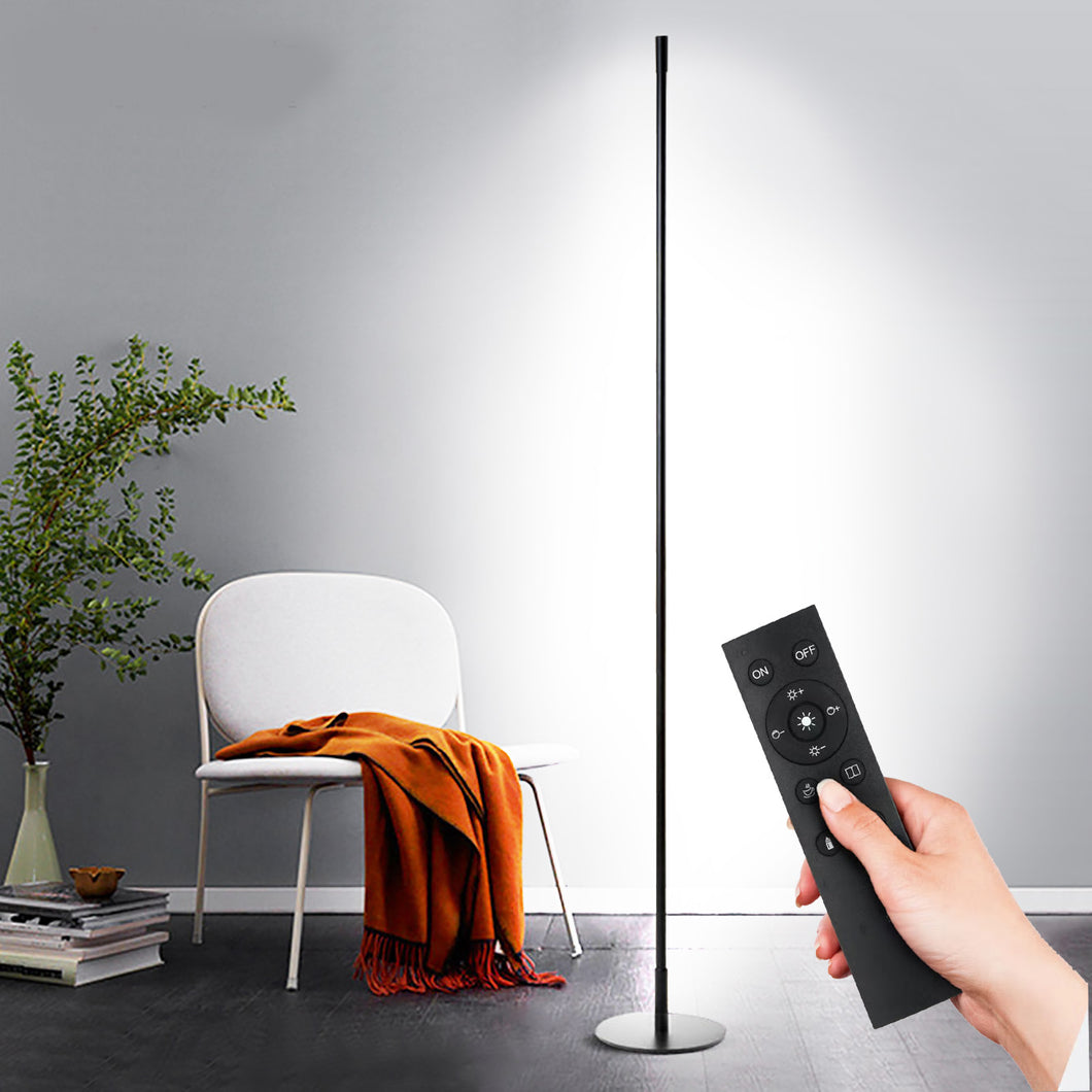 Minimalist LED Floor Lamp
