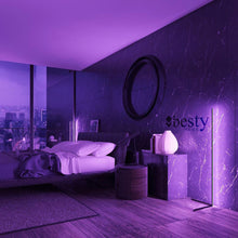 Load image into Gallery viewer, Smart RGB Corner Floor Lamp
